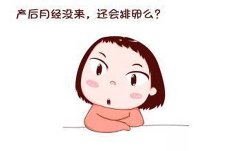 4、例假没来不排卵吗?
有些宝妈会认为，在产后的第一次月经到来之前，卵巢没有排卵，所以不需要避孕。其实并不正确，事实上有部分宝妈在产后第一次月经来潮前，便已恢复排卵能力了，所以一定不要觉得没来例假就绝对安全了，安安稳稳的做好防护措施，防止哺乳期怀孕。
产后第一次来例假的时间可能早也可能迟，宝妈们都不用太担心，会慢慢恢复正常的。