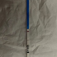 大家可以帮忙看看这样是有还是没有吗？谢谢