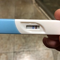 2月24日排卵，22，24，25都有安排，月经规律，末次是2月8日，这算有影子吗