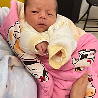 大哥。你想让我干嘛你说，不要瞪我呀[裂开]