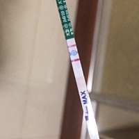 现在能确定是怀孕了么