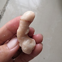 杀了15年的鸡 并且第一次杀的是胡须鸡 没相到在鸡肚里挖岀这东西 这🉑是杀鸡十几年来第一次见 不知有...