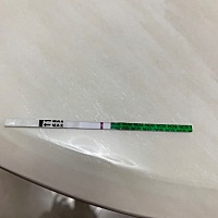 本人26岁老公比我大11岁都是头婚一直想要个孩子19年流掉两个都是没有胎心，后来去检查身体发现自己输卵...