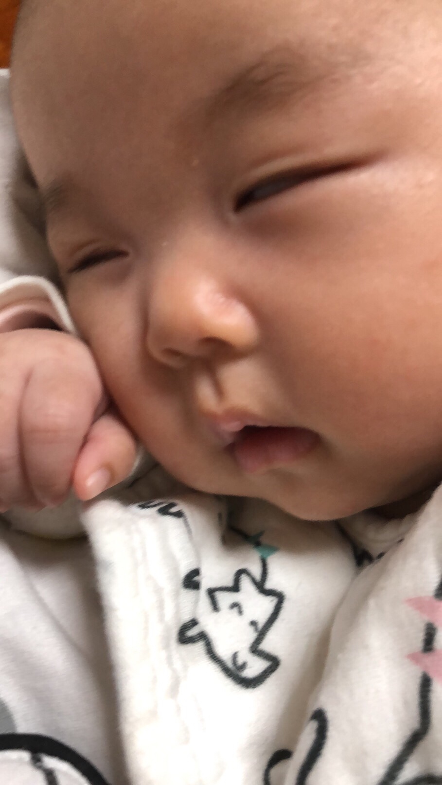 我家小猪宝宝