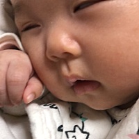 深圳松岗附近 我家小猪宝宝