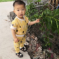 一早来摘桑果吃……