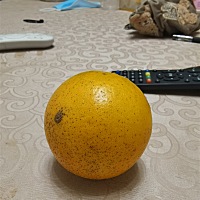 感谢怀孕管家软件，怀宝宝的时候每天都要看很多遍育儿知识，现在宝宝平安出生，依然关注，希望宝宝健康...