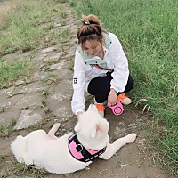 月经推迟两天，早上用验孕纸测有一天浅灰印，下午测试就没有了