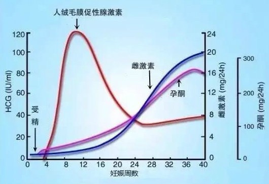 如果准妈妈在怀孕前胃就不太好，到了孕中晚期就很可能加重。那么，这时候准妈妈一定要采取一些措施来缓解烧心的症状了。