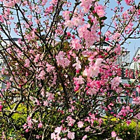 天气好了可以带你出去走走 喝杯奶茶公园散步 比在月子里好太多了