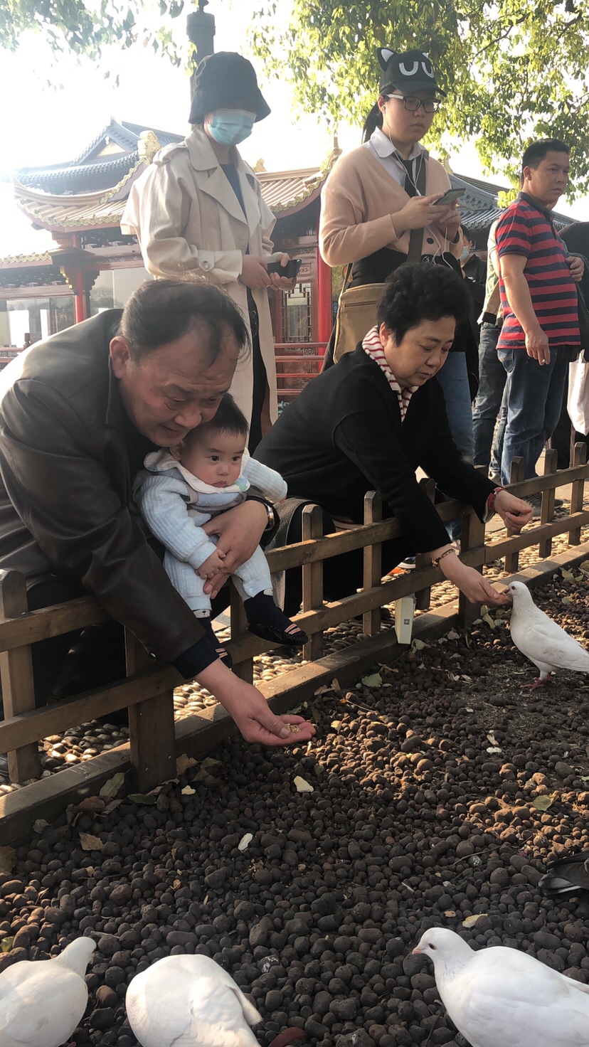 小宝西湖游—喂鸽子