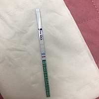 ￼￼备孕3个月，之前2个月都以失望收局。现在是第三个月了，都不敢测了。但还是忍不住测一下，这是同房...