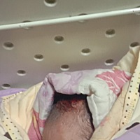 29号晚上七点四十肚子疼 第二天凌晨11点宝宝出生 疼了28个小时 生下小王子 来保护妈妈啦 😁 前期 ...