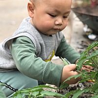 我想请教宝妈，宝宝满周岁后真的不能奶嘴了吗？我这个鸭嘴  吸管都不愿意吸，怎么办呢？