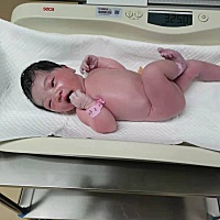 小果冻4.5号🐣破壳出生～今天7号了，已经开始涨奶了，这两天的初乳吃的频繁，加快了我宫缩的频率，真...