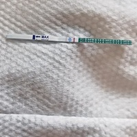 各位宝妈们这是怀孕了吗？别是咋呼啊！😅😅  月经本来6号来的，推迟了两天测得！