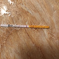 这个是怀孕了嘛？
