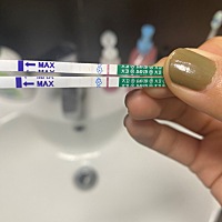 这是不是有了，备孕半年多了