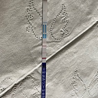 本来这个月12号该来大姨妈的，结果没来，我另一天（13号）测了下，这是怀了？