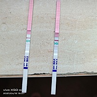 22x16毫米卵泡，内膜是8毫米，图片是排卵试纸测的，大家帮帮忙看看是什么意思。