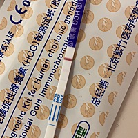 这个是有了吗？