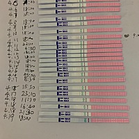 请大家帮我看看我这个月什么时候排卵