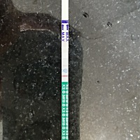 4月21号晨起用毓婷测的结果信任，4月22号中午买的大卫测的结果… 4分钟后的结果 5分钟内的结果 8分钟内...