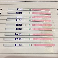 姨妈6号来，12号干净了，到今天25号一直没测到强阳性咋回事，第一次测试排卵，是不是我就没有强阳性呀�...