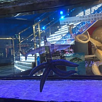 就没见过一个男的那么爱在自己姐姐面前吐槽自己的老婆的～既然这样你跟你姐过好了真的～