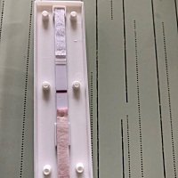 4月10号末次，14号结束，昨天早上测的，我跟老公、我同事都能看到有灰色杠，尤其是手机拿远一点就看得到...