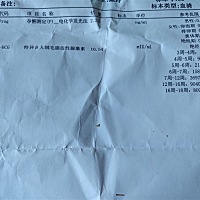怀孕了吗没得