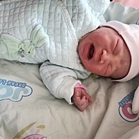 从肚子里出来那一刻就大声的哭，一直到我剖腹产线缝好还在哭😅（中途断断续续停了一会）一起和我出手...