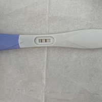 是怀孕了吗