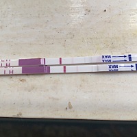 用这个测纸测好像是有了，但是我用好一点测纸却测不出来，是怎么回事