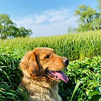 这个月未成功，多少有些失落 人生即是如此，想而不可得
