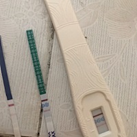最后一次月经4.11前两天测了白班，心想这个月又没戏了，今天早上还是没来大姨妈又测好像有了，就是印有...