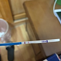 姨妈一直没来，买测纸试了一下，我想知道这个是怀孕还是没怀。各位帮我看一下