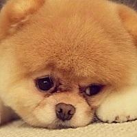 唉，姨妈来了，感觉心态崩了