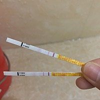 求问，这是怀上了吗，晚上测会不会不准？