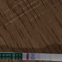 后天才来例假，今天拿朋友给的测了一下出现这样的样子，不知道是不是怀孕了，