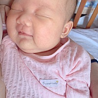 你一乐，瞬间融化我对你磨人时的恨。