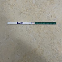 是怀上还是没
