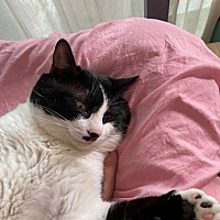 嫌我拖把买的不好你自己买也，每次用每次说，我快烦死了😡。   娘俩一起说我！真烦人，这个家里就我是...