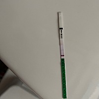 4月28号的月经开始的。这是怀孕了吗