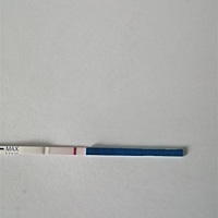 请大家帮我看看有怀孕的可能性吗