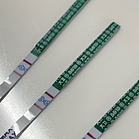 我这 是有了吗？