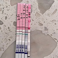 后天再测一个早早孕，排卵试纸在加深，求好孕