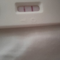 亲们这是怀孕吗