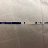 排卵期后11天晨尿，看到了一点小粉红，这是怀上了吗