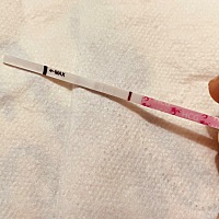 是的嘛，今天的